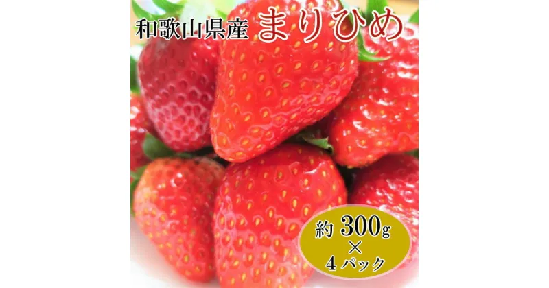 【ふるさと納税】【1月発送】和歌山県産ブランドいちご「まりひめ」約300g×4パック入り｜苺 産地直送 果物 ふるさと納税 いちご フルーツ　※北海道・沖縄・離島への配送不可　※2025年1月中旬～下旬頃に順次発送予定