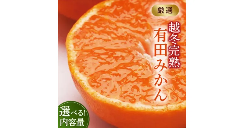 【ふるさと納税】【選べる 内容量・発送時期！】厳選 越冬完熟みかん【ハウスみかん】【光センサー選果】　※北海道・沖縄・離島への配送不可　※2025年1月中旬～2月下旬頃に順次発送予定