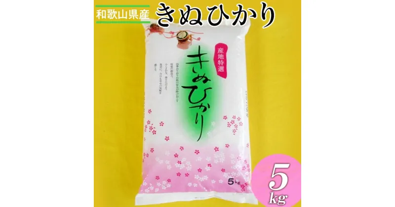 【ふるさと納税】【先行予約】和歌山県産キヌヒカリ 5kg(2024年産) ※2024年9月中旬～2025年9月上旬頃に順次発送