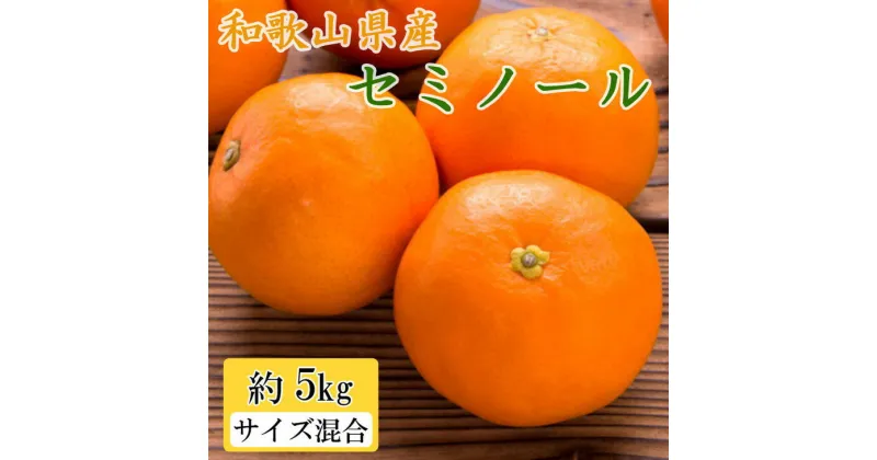 【ふるさと納税】和歌山県産セミノールオレンジ約5kg（サイズ混合 秀品）　※2025年4月上旬～4月下旬頃に順次発送予定