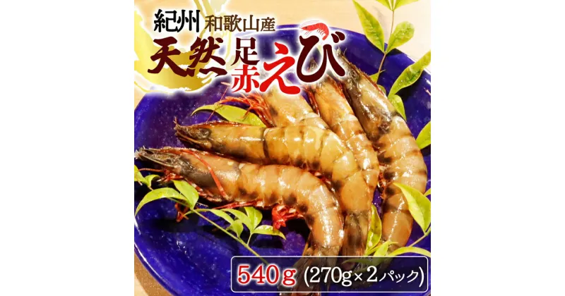 【ふるさと納税】紀州和歌山産天然足赤えび540g（270g×2パック）　化粧箱入※着日指定不可※2024年11月上旬〜2025年2月下旬頃に順次発送予定