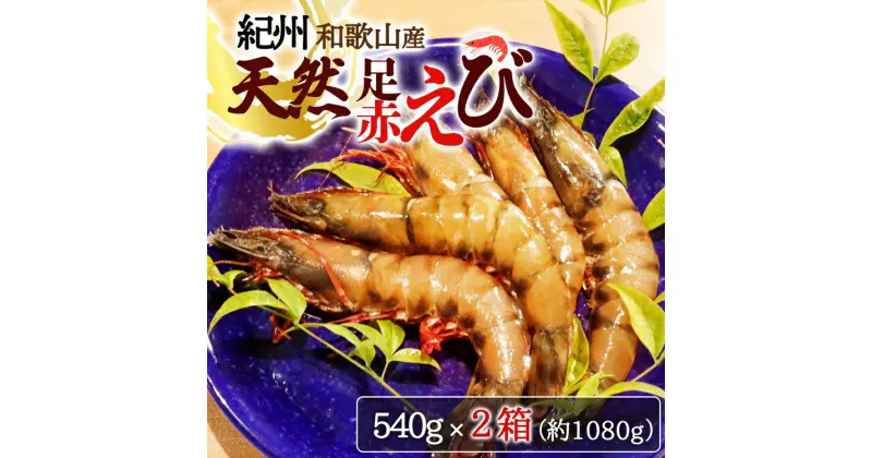 【ふるさと納税】紀州和歌山産天然足赤えび540g×2箱（270g×4パック）　化粧箱入※着日指定不可※2024年11月上旬〜2025年2月下旬頃に順次発送予定