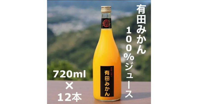 【ふるさと納税】【搾りたて発送】和歌山産　有田みかん100%ジュース 720ml×12本 無添加ストレート※着日指定不可※北海道・沖縄・離島への配送不可