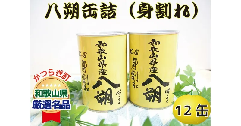 【ふるさと納税】和歌山県産八朔缶詰（身割れ）425g×12缶セット◇