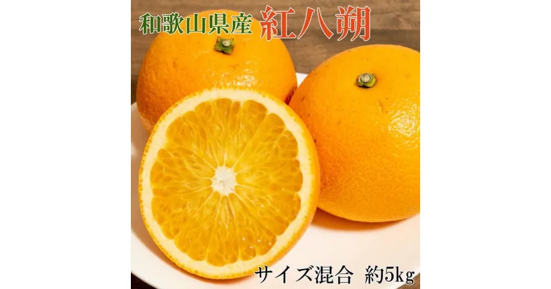 【ふるさと納税】【希少品】和歌山県産紅八朔約5kg（サイズ混合）※着日指定不可※2025年1月下旬～2月中旬頃に順次発送予定