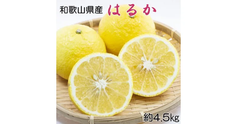 【ふるさと納税】【さわやか柑橘】和歌山県産はるかみかん約4.5kg（サイズ混合　秀品）※2025年2月下旬～3月下旬頃に順次発送予定