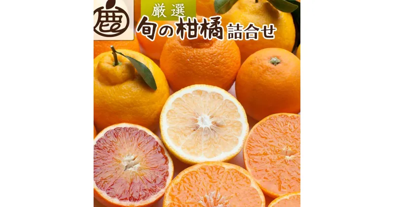 【ふるさと納税】＜1月より発送＞厳選 柑橘詰合せ5kg+150g（傷み補償分）｜有田の春みかん詰め合わせ・フルーツ詰め合せ・オレンジつめあわせ【光センサー選別】 ※北海道・沖縄・離島への配送不可 ※2025年1月上旬～4月下旬頃に順次発送予定