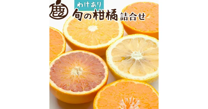 【ふるさと納税】＜1月より発送＞家庭用 柑橘詰合せ7.5kg+225g（傷み補償分）｜訳あり・わけあり 　有田の春みかん詰め合わせ・フルーツ詰め合せ・オレンジつめあわせ【光センサー選別】 ※北海道・沖縄・離島への配送不可 ※2025年1月上旬～4月下旬頃に順次発送予定