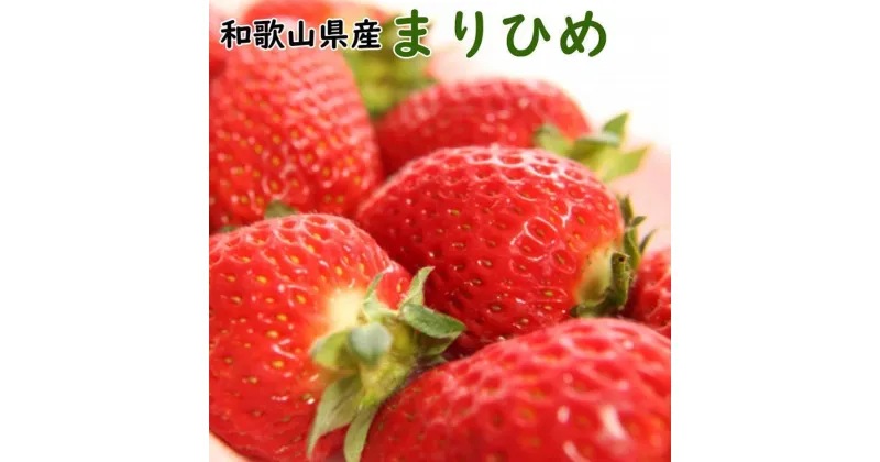 【ふるさと納税】【4月発送】和歌山県産ブランドいちご「まりひめ」約300g×2パック入り ※北海道・沖縄・離島への配送不可 ※2025年4月上旬～4月下旬頃に順次発送予定