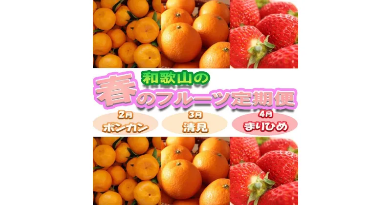 【ふるさと納税】〈定期便〉【2・3・4月 全3回】和歌山の春の柑橘（ポンカン・清見オレンジ・まりひめ）※北海道・沖縄・離島への配送不可