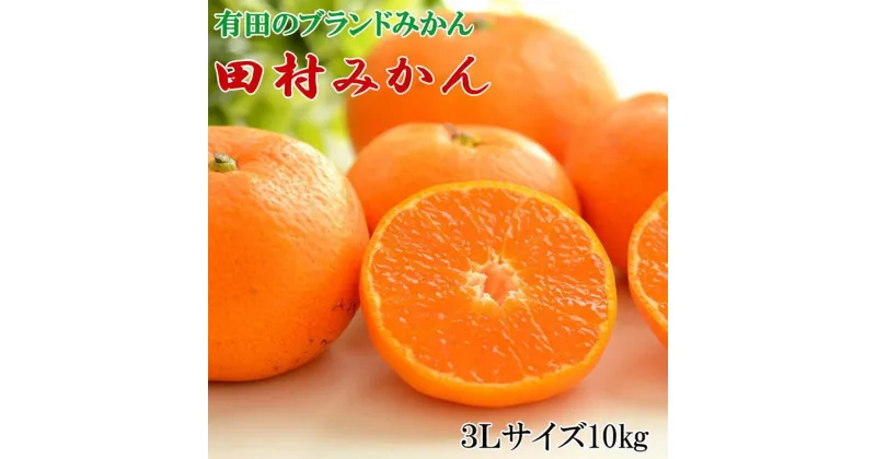 【ふるさと納税】【ブランドみかん】田村みかん 大玉 約10kg (3Lサイズ) ※2024年11月下旬～12月下旬頃に順次発送予定