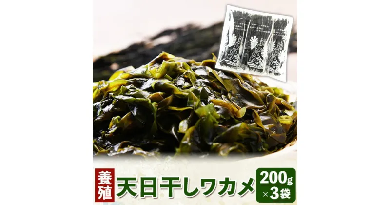 【ふるさと納税】天日干しワカメ(養殖) 約600g 約200g×3袋 株式会社はし長 《30日以内に出荷予定(土日祝除く)》 和歌山県 日高町 わかめ ワカメ 海藻 味噌汁