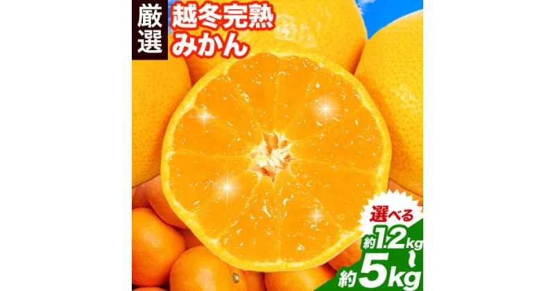 【ふるさと納税】《レビューキャンペーン》＜先行予約＞厳選 越冬完熟みかん 1.2kg 2kg 5kg（傷み補償分）【ハウスみかん】【光センサー選果】 池田鹿蔵農園@日高町(池田農園株式会社)《1月中旬-2月末頃出荷》和歌山県 日高町【配送不可地域あり】