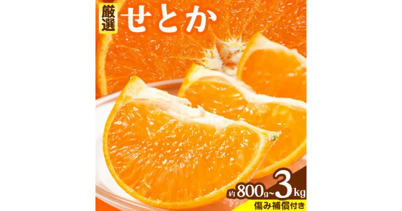 【ふるさと納税】 厳選 せとか みかん 春みかん 800g ～ 3kg 傷み補償付き 【光センサー選果】 池田鹿蔵農園 @日高町 《2月上旬-4月中旬頃より出荷予定》和歌山県 日高町 セトカ せとか ミカン 厳選みかん 柑橘 柑橘類 送料無料【配送不可地域あり】