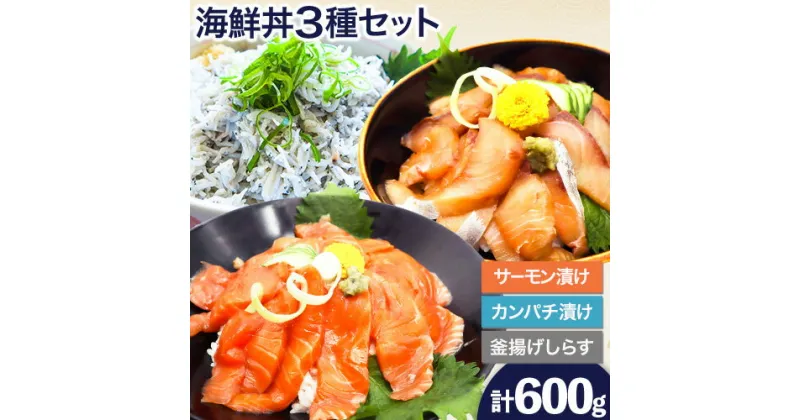 【ふるさと納税】紀州湯浅醤油を使った サーモン と カンパチ の 漬け ＆ 釜揚げ しらす の 海鮮丼 3種 セット 計600g 魚鶴商店 《30日以内に出荷予定(土日祝除く)》 和歌山県 日高町 サーモン カンパチ 釜揚げ しらす 漬け丼 海鮮丼 セット