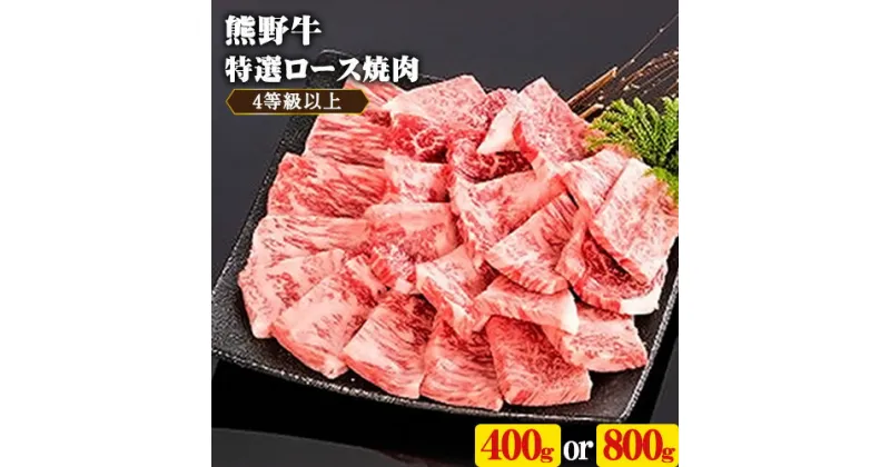 【ふるさと納税】「熊野牛」特選ロース焼肉400g or 800g 4等級以上 株式会社松源《30日以内に出荷予定(土日祝除く)》和歌山県 日高町