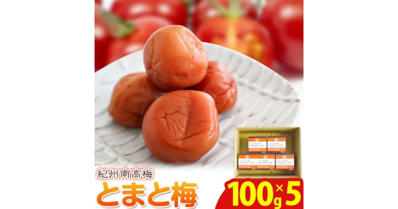 【ふるさと納税】南高梅 tomato-ume とまと 梅 100g×5 有限会社プラム《30日以内に出荷予定(土日祝除く)》和歌山県 日高町 送料無料 梅 うめ ウメ 南高梅 紀州 トマト梅 送料無料