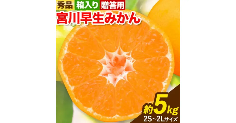 【ふるさと納税】《レビューキャンペーン》 秀品 贈答用 宮川 早生 みかん 約 5kg (2S〜2Lサイズ) 笑いの里のTommyファーム《11月下旬-1月上旬頃出荷》和歌山県 日高町 みかん 早生 贈答用 旬 柑橘 フルーツ 果物 ミカン 柑 産地直送 箱入り