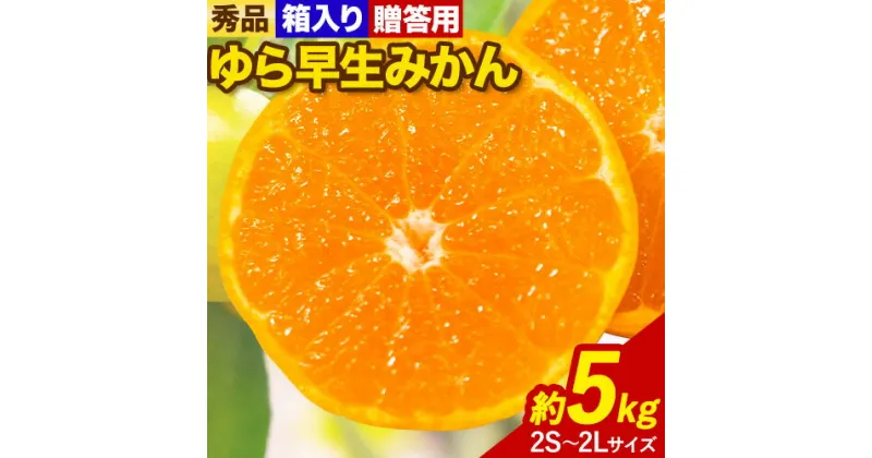 【ふるさと納税】《レビューキャンペーン》秀品 贈答用 ゆら 早生みかん 約 5kg (2S〜2Lサイズ) 笑いの里のTommyファーム《10月中旬-11月末頃出荷》和歌山県 日高町 みかん 早生 贈答用 旬 柑橘 フルーツ 果物 ミカン 柑 産地直送 箱入り ギフト