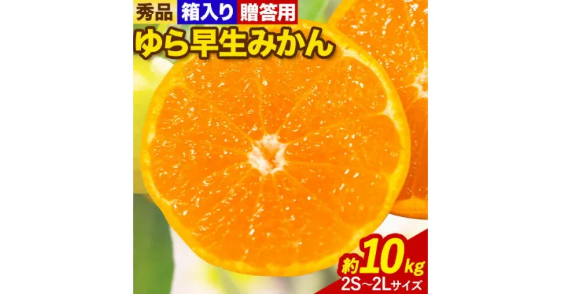 【ふるさと納税】《レビューキャンペーン》秀品 贈答用 ゆら 早生みかん 約 10kg (2S〜2Lサイズ) 笑いの里のTommyファーム《10月中旬-11月末頃出荷》和歌山県 日高町 みかん 早生 贈答用 旬 柑橘 フルーツ 果物 ミカン 柑 産地直送 箱入り ギフト