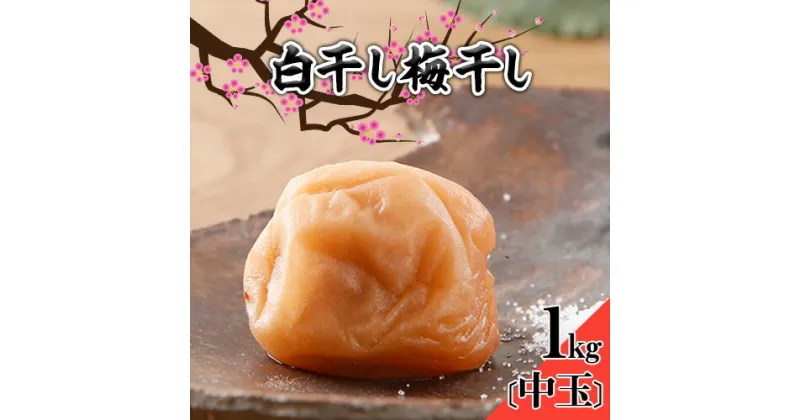 【ふるさと納税】 梅干し 白干し梅干し 1kg 中玉 2L 和歌山県産 株式会社とち亀物産 《30日以内に出荷予定(土日祝除く)》 和歌山県 日高町 梅 うめ 白干し 梅干し うめぼし 紀州南高梅 漬物 漬け物 ごはんのお供