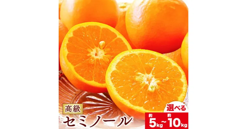 【ふるさと納税】柑橘 高級セミノール 選べる 約 5kg 約 10kg 主井農園《4月下旬-6月中旬頃出荷》 和歌山県 日高町 セミノール オレンジ みかん 柑橘 高級 希少 送料無料