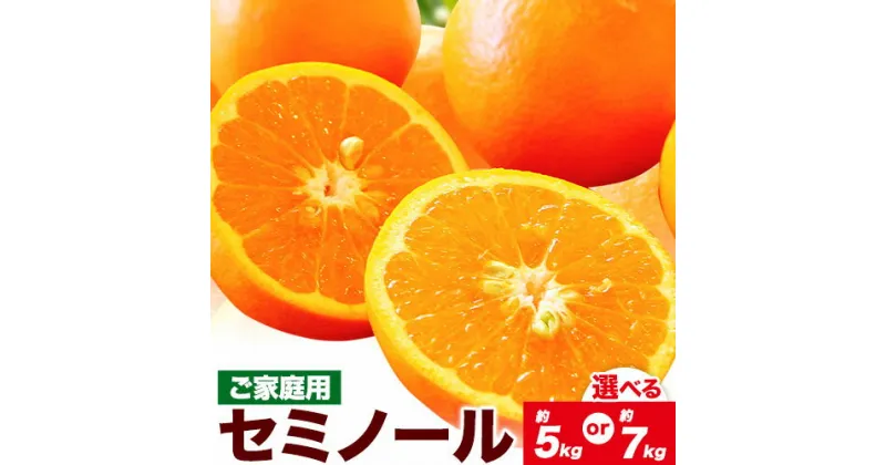 【ふるさと納税】柑橘 ご家庭用セミノール 選べる 約5kg 約7kg 主井農園《4月下旬-6月中旬頃出荷》 和歌山県 日高町 セミノール オレンジ みかん 柑橘 家庭用 希少 送料無料 オレンジ