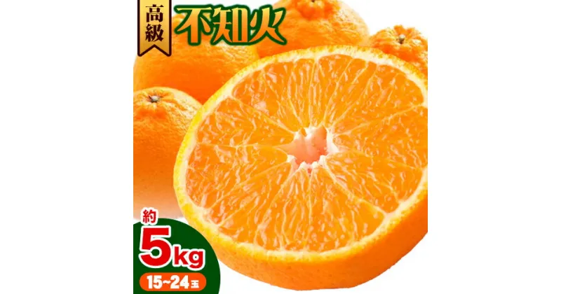 【ふるさと納税】《レビューキャンペーン》高級 不知火 ( デコポン と同品種) 約5kg 15~24玉 主井農園《2月中旬-4月上旬頃出荷》 和歌山県 日高町 みかん 柑橘 しらぬい 高級不知火 デコポン デコ でこぽん 贈答 贈り物 おくりもの プレゼント ギフト 記念日 送料無料