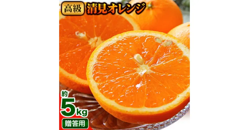 【ふるさと納税】高級 清見オレンジ 贈答用 約5kg 主井農園《2月下旬-4月上旬頃出荷》 和歌山県 日高町 オレンジ 柑橘 高級 贈答 贈り物 おくりもの プレゼント ギフト 記念日 送料無料