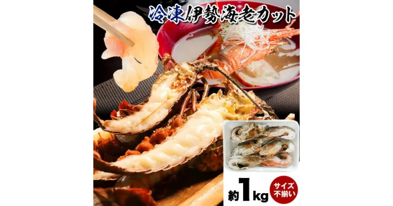 【ふるさと納税】えび エビ 冷凍 伊勢海老カット 約 1kg (サイズ不揃い) 株式会社はし長 《30日以内に出荷予定(土日祝除く)》和歌山県 日高町 伊勢えび 伊勢海老 カット済