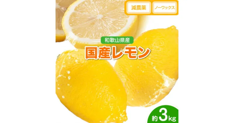 【ふるさと納税】レモン 国産 レモン 3kg(L～4Lサイズ) ノーワックス 減農薬 どの坂果樹園《2025年2月上旬-5月末頃出荷》 和歌山県 日高町 レモン れもん 檸檬 旬 果物 フルーツ 柑橘 産地直送 送料無料