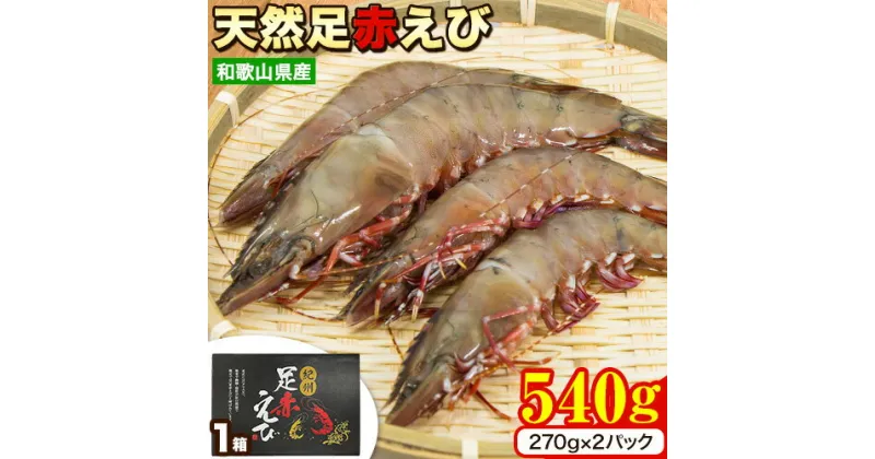 【ふるさと納税】紀州和歌山産天然足赤えび 540g(270g×2パック) 化粧箱入 魚鶴商店《11月上旬-2月末頃出荷》和歌山県 日高町 足赤えび えび エビ