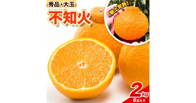 【ふるさと納税】《レビューキャンペーン》【先行予約】秀品 大玉 不知火 約 2kg 6玉 紀農人株式会社《2025年2月中旬-4月上旬頃出荷》 和歌山県 日高町 果物 フルーツ 柑橘 蜜柑 柑橘類 旬 しらぬい