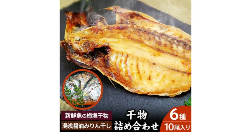 【ふるさと納税】新鮮魚の梅塩干物と湯浅醤油みりん干し 6品種10尾入りの 詰め合わせ (和歌山近海産の新鮮魚使用) 日高町厳選館《90日以内に出荷予定(土日祝除く)》和歌山県 日高町 魚 さかな 干物 6種 10尾 さば 真あじ 太刀魚 いさぎ うおぜ さんま みりん干し 送料無料