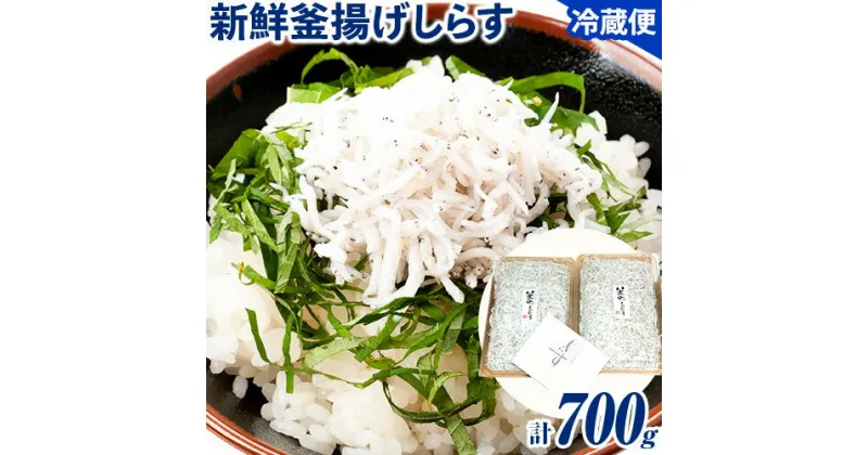 【ふるさと納税】和歌山の海の幸を冷蔵にてお届け「新鮮釜揚げしらす」700g（350g×2パック入）厳選館《6月上旬-12月末頃出荷》釜揚げしらす