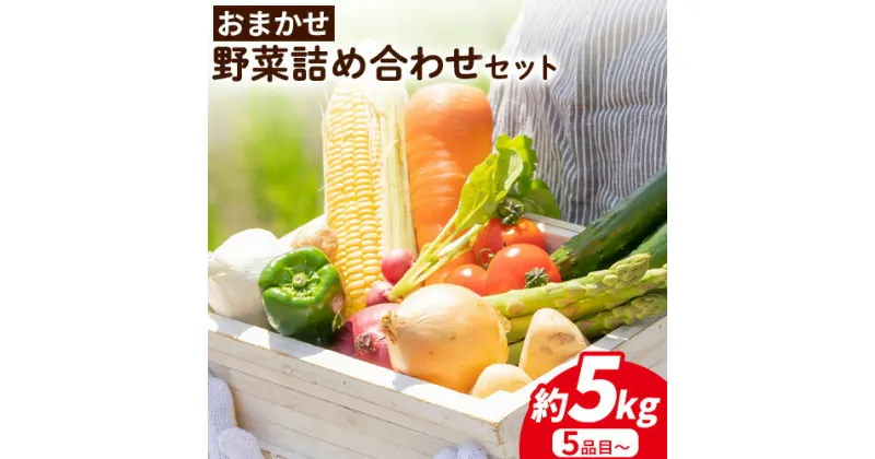 【ふるさと納税】四季のお楽しみ☆おまかせ野菜詰め合せセット(訳あり品) 5品~ 約5kg JA紀州産直店 さわやか日高(日高町)《30日以内に出荷予定(土日祝除く)》 和歌山県 日高町 野菜セット 野菜 詰め合わせ 訳あり品