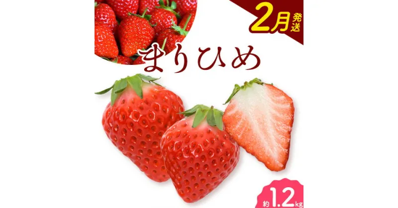 【ふるさと納税】【2025年2月発送】和歌山県産ブランドいちご「まりひめ」約300g×4パック 計1.2kg 日高町厳選館《2025年2月上旬-3月中旬頃出荷》和歌山県 日高町 いちご 苺 まりひめ フルーツ 果物 スイーツ 送料無料【配送不可地域あり】