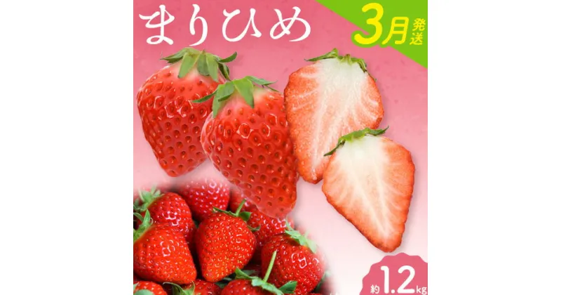 【ふるさと納税】【2025年3月発送】和歌山県産ブランドいちご「まりひめ」約300g×4パック 計1.2kg 日高町厳選館《2025年3月上旬-4月中旬頃出荷》和歌山県 日高町 いちご 苺 まりひめ フルーツ 果物 スイーツ 送料無料【配送不可地域あり】