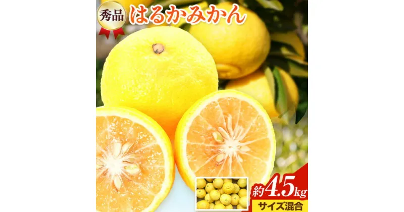 【ふるさと納税】【さわやか柑橘】秀品 和歌山県産 はるかみかん 約4.5kg（サイズ混合） 日高町厳選館 《2025年2月中旬-4月中旬頃出荷》和歌山県 日高町 みかん はるみ 柑橘 フルーツ 果物