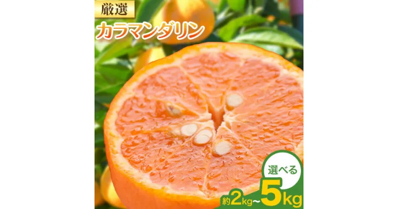 【ふるさと納税】【先行予約】厳選 カラマンダリン2kg 3kg 5kg（傷み補償分）南津海・なつみ 希少な春柑橘 池田鹿蔵農園《2025年4月上旬-6月上旬頃出荷予定》 和歌山県 日高町 みかん 柑橘 フルーツ 蜜柑 送料無料【配送不可地域あり】