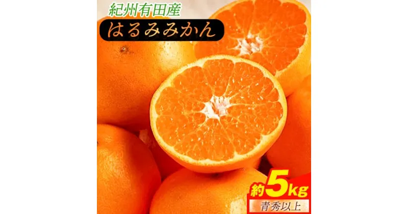 【ふるさと納税】【厳選・濃厚】紀州有田産のはるみ約5kg(Lサイズ)《2025年1月下旬-3月上旬頃出荷予定》和歌山県 日高町 みかん はるみ 厳選 柑橘 フルーツ 送料無料