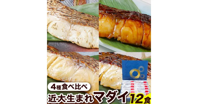 【ふるさと納税】近大生まれマダイ 焼味4種 食べ比べセット 12食(4種×3食入り) アーマリン近大 《90日以内に出荷予定(土日祝除く)》和歌山県 日高町 鯛 真鯛 惣菜 レトルト 西京焼き 塩焼き 照り焼き 照焼 柚庵焼き 焼き魚 おかず お弁当