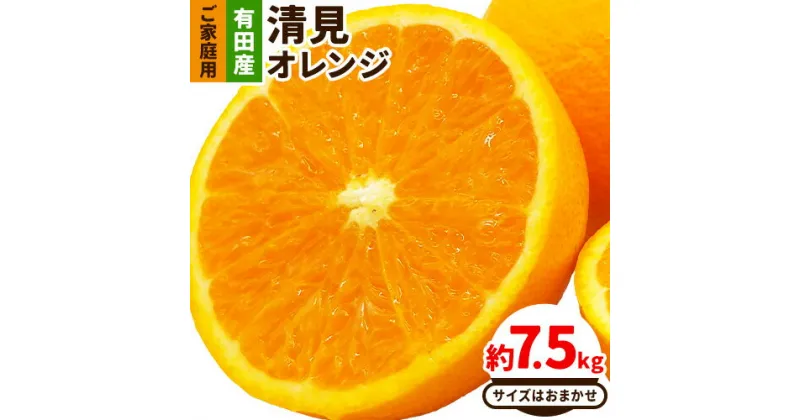 【ふるさと納税】【産直】有田産 清見オレンジ ご家庭用 訳あり 約7.5kg サイズおまかせ または 混合 日高町厳選館《2月上旬-4月中旬頃出荷》和歌山県 日高町 柑橘 果物 フルーツ 清見 オレンジ 清見オレンジ 有田産