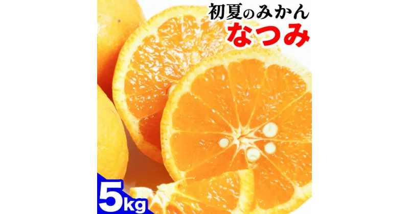 【ふるさと納税】＜先行予約＞初夏のみかん なつみ約5kg 株式会社 魚鶴商店《2025年4中旬-5上旬頃出荷》 和歌山県 日高町 みかん なつみ 南津海 柑橘 果物 フルーツ 送料無料