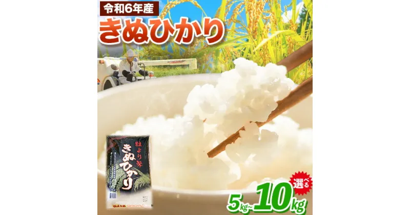 【ふるさと納税】令和6年産 粒より米 きぬひかり 選べる 5kg 10kg JA紀州 さわやか日高《90日以内に出荷予定(土日祝除く)》 和歌山県 日高町 米 こめ コメ きぬひかり キヌヒカリ 送料無料 精米