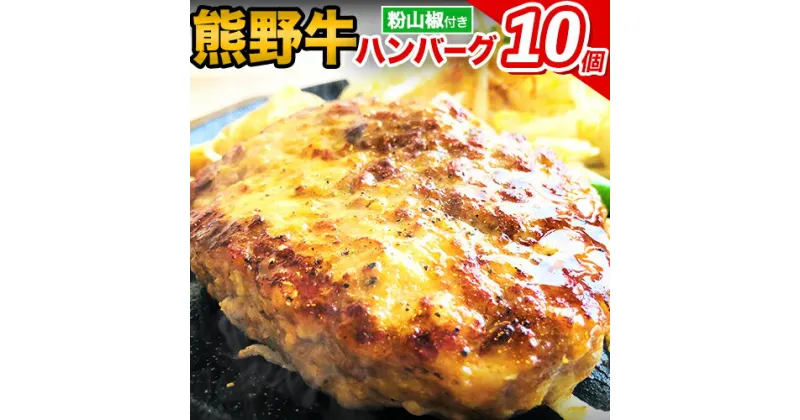 【ふるさと納税】熊野牛 自家製ハンバーグ 10個入り(粉山椒付) 澤株式会社(Meat Factory)《30日以内に出荷予定(土日祝除く)》 和歌山県 日高町 熊野牛 牛 うし 牛肉 加工品 ハンバーグ 山椒 送料無料