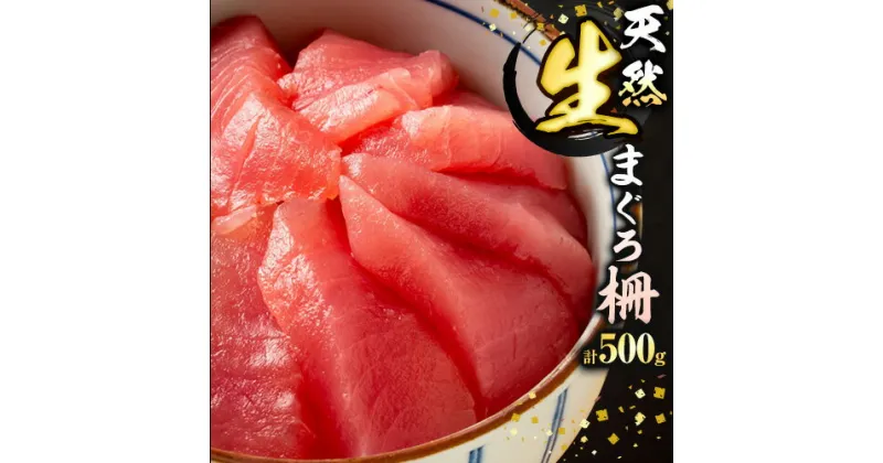 【ふるさと納税】那智勝浦直送 天然生まぐろ 柵 500g 株式会社魚鶴商店《30日以内に出荷予定(土日祝除く)》 和歌山県 日高町 まぐろ 魚 マグロ 柵 海鮮 鮪 魚介 さかな