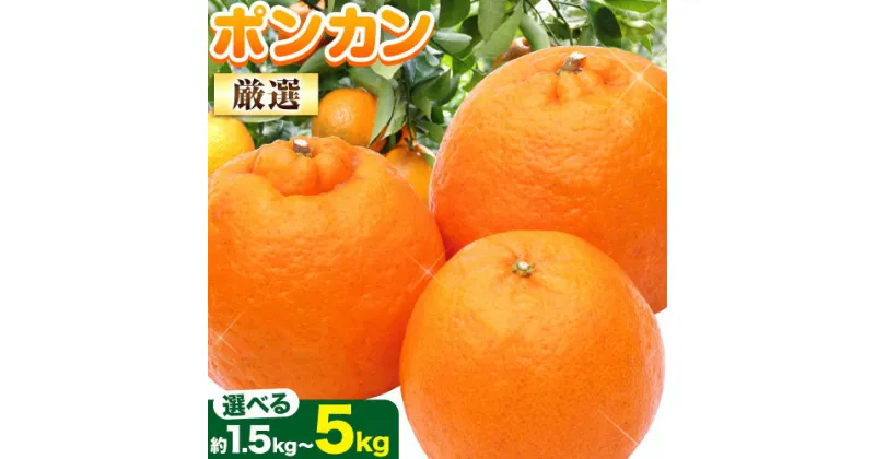 【ふるさと納税】【先行予約】 厳選 ポンカン 選べる 約1.5kg＋45g 約2.5kg＋75g 約5kg＋150g (傷み補償分) 光センサー選別 和歌山県産 有田 ポンカン ジューシー 池田鹿蔵農園 《1月中旬-2月末頃出荷》和歌山県 日高町 果物 送料無料【配送不可地域あり】