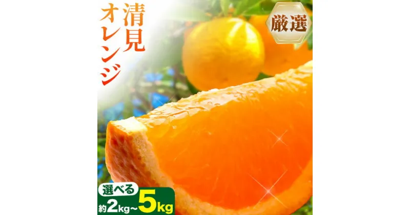 【ふるさと納税】【先行予約】＜2月より発送＞ 厳選 清見オレンジ 選べる 約2kg+60g 約3.5kg+105g 約5kg+150g (傷み補償分) 光センサー選別 和歌山県産 池田鹿蔵農園 《2月上旬-3月末出荷》和歌山県 日高町 果物 送料無料【配送不可地域あり】