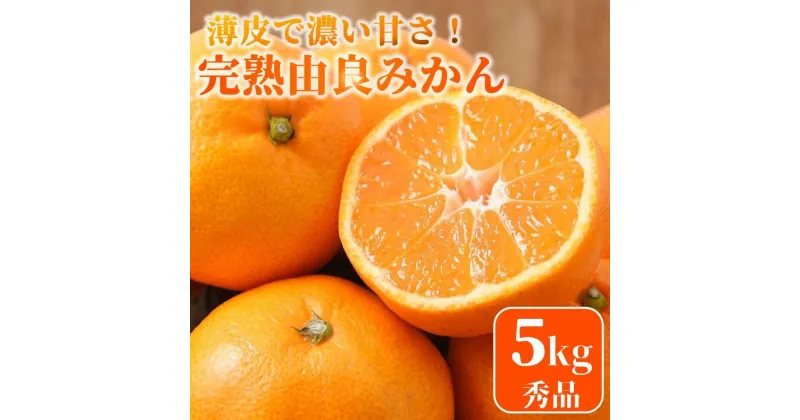 【ふるさと納税】★薄皮で濃い甘さ！完熟由良みかん【秀】5kg×1箱（混サイズ）和歌山県由良産 | みかん 和歌山 完熟 薄皮 濃厚 甘い 秀 サイズ混合 おまかせ 5kg 和歌山県 由良町 柑橘 くだもの 果物 フルーツ 故郷 ふるさと納税